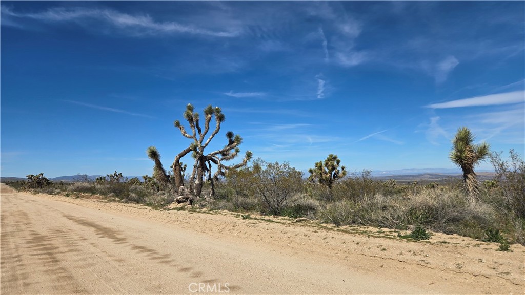 0 Fort Tejon Road Llano, CA 93544 - Photo 16 of 50 a view of a road with a snow in the background