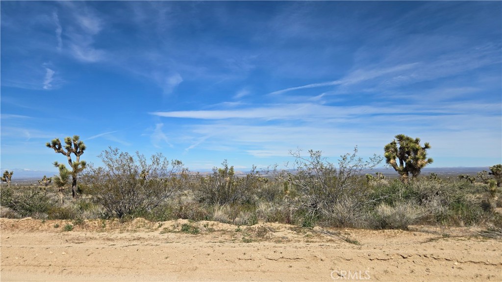 0 Fort Tejon Road Llano, CA 93544 - Photo 18 of 50 a view of a dry yard with trees