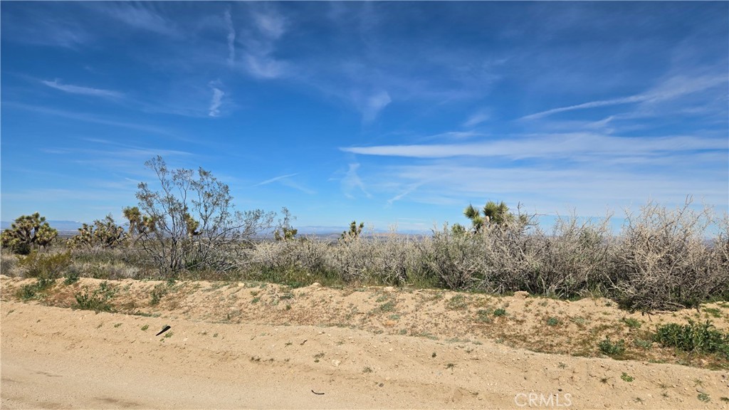 0 Fort Tejon Road Llano, CA 93544 - Photo 21 of 50 a view of a yard covered in snow