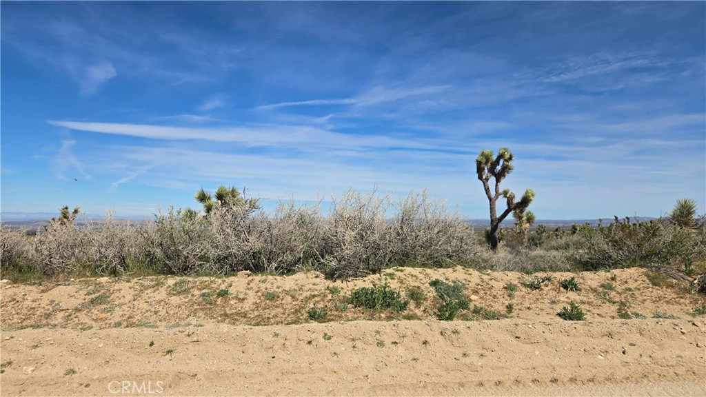 0 Fort Tejon Road Llano, CA 93544 - Photo 22 of 50 a view of a dry yard covered with snow in the background