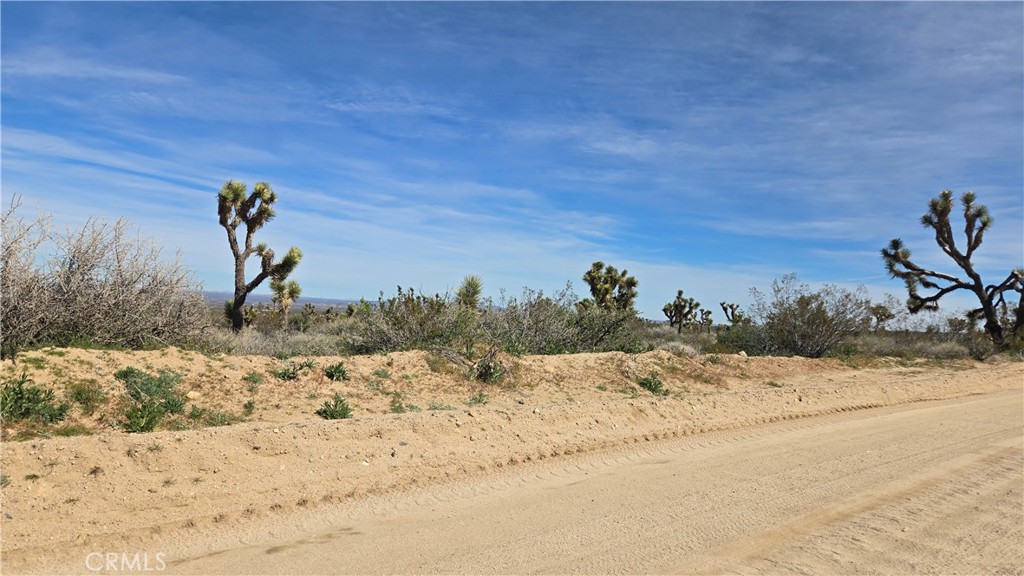0 Fort Tejon Road Llano, CA 93544 - Photo 23 of 50 a view of a snow on the beach