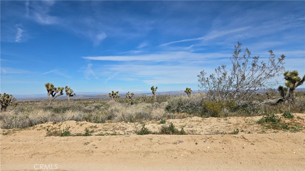 0 Fort Tejon Road Llano, CA 93544 - Photo 24 of 50 a view of a dry yard