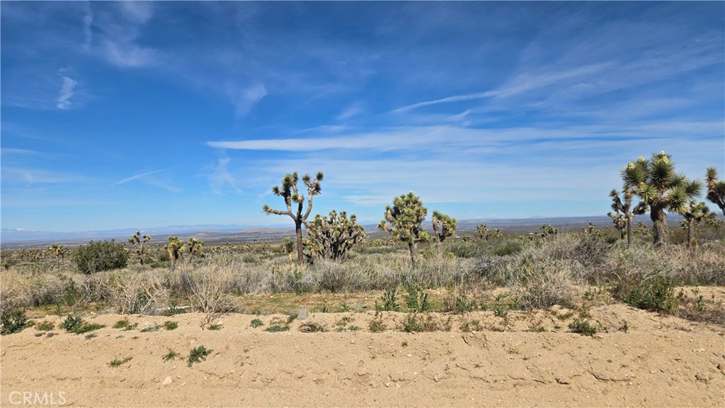 0 Fort Tejon Road Llano, CA 93544 - Photo 27 of 50 a view of a dry yard covered with snow in the background