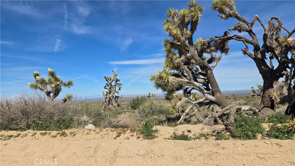 0 Fort Tejon Road Llano, CA 93544 - Photo 28 of 50 a view of a wooden fence with a tree