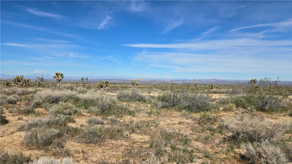 0 Fort Tejon Road Llano, CA 93544 - Photo 30 of 50 a view of a big yard with lots of bushes