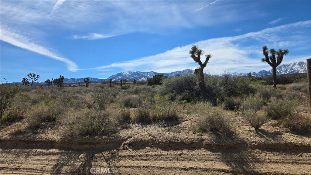 0 Fort Tejon Road Llano, CA 93544 - Photo 3 of 50