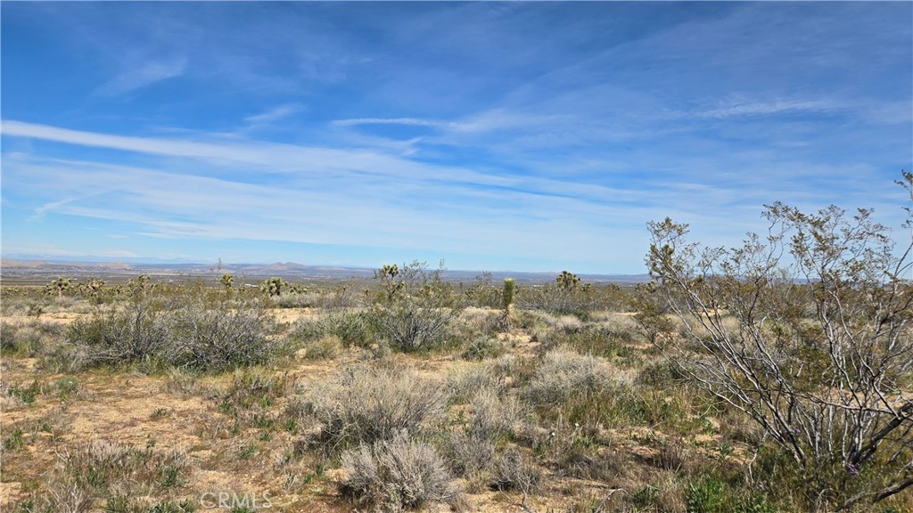 0 Fort Tejon Road Llano, CA 93544 - Photo 31 of 50