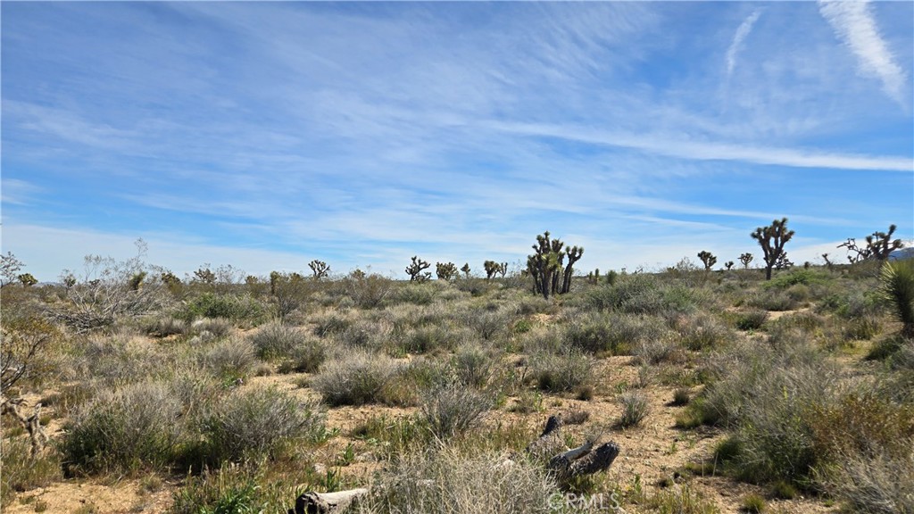 0 Fort Tejon Road Llano, CA 93544 - Photo 33 of 50 a view of a bunch of trees in a field