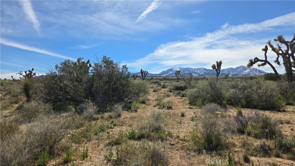 0 Fort Tejon Road Llano, CA 93544 - Photo 35 of 50 a view of a bunch of trees in a field