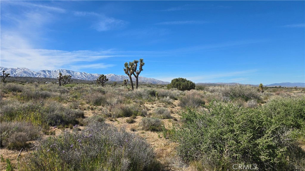 0 Fort Tejon Road Llano, CA 93544 - Photo 38 of 50 a view of a dry field