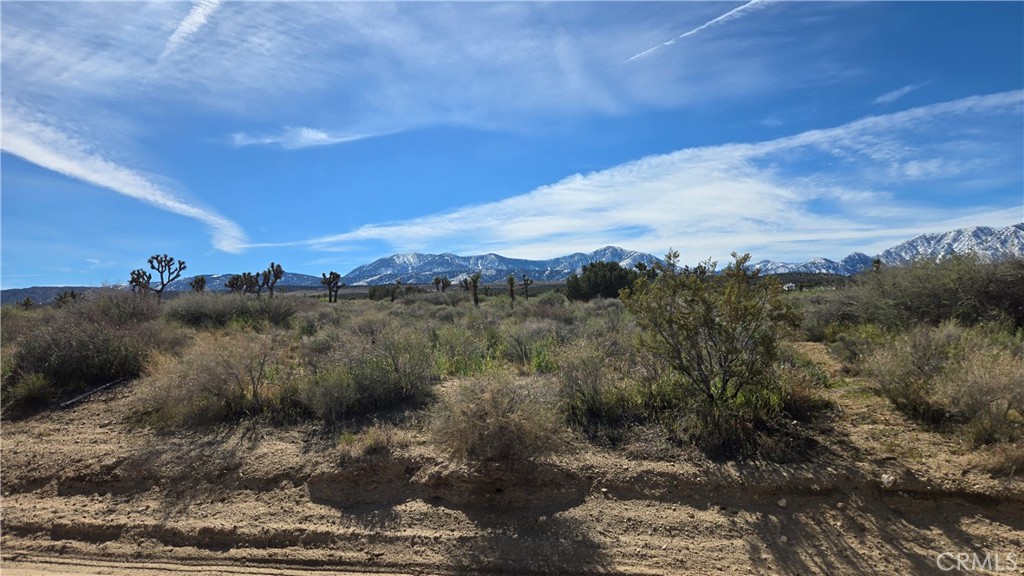 0 Fort Tejon Road Llano, CA 93544 - Photo 4 of 50 a view of a lake with a mountain in the background