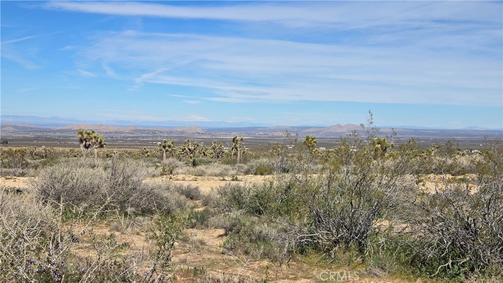 0 Fort Tejon Road Llano, CA 93544 - Photo 42 of 50 a view of a city with lush green forest