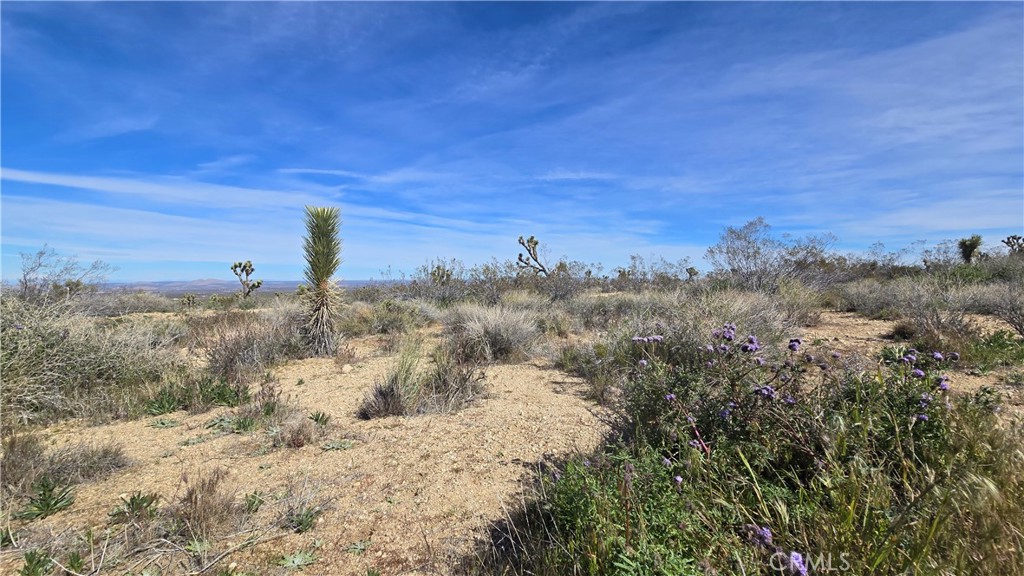 0 Fort Tejon Road Llano, CA 93544 - Photo 43 of 50 a view of a beach with a city view
