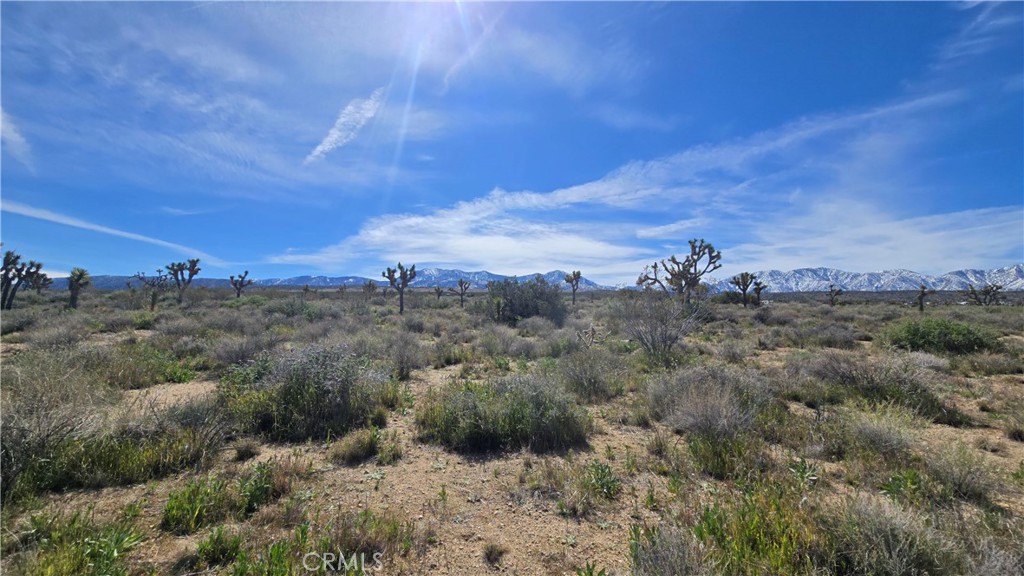 0 Fort Tejon Road Llano, CA 93544 - Photo 44 of 50 a view of a city with lush green forest