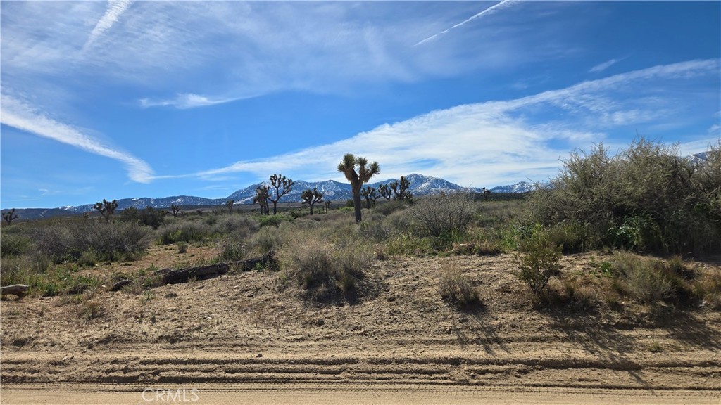 0 Fort Tejon Road Llano, CA 93544 - Photo 5 of 50 a view of a yard with an outdoor space