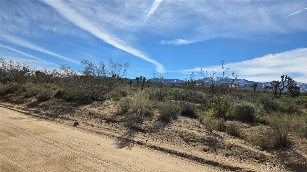 0 Fort Tejon Road Llano, CA 93544 - Photo 8 of 50 a view of a dry yard with mountains in the background