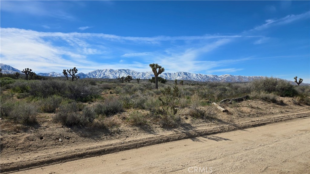 0 Fort Tejon Road Llano, CA 93544 - Photo 9 of 50 a view of a outdoor space with mountain view