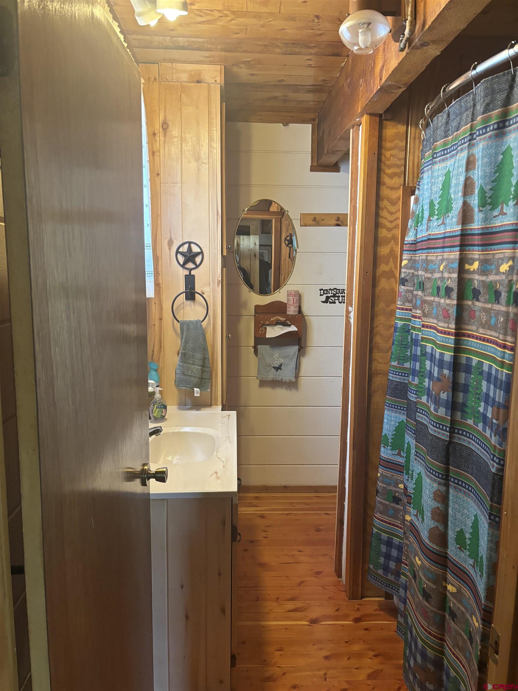 1113 Spring Street Del Norte, CO 81132 - Photo 31 of 43 a bathroom with a bathtub and shower