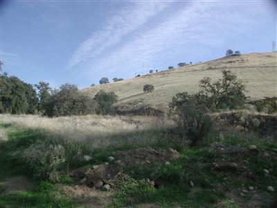 4550 North Piedra Road Sanger, CA 93657 - Photo 3 of 24 Gallery Image 3
