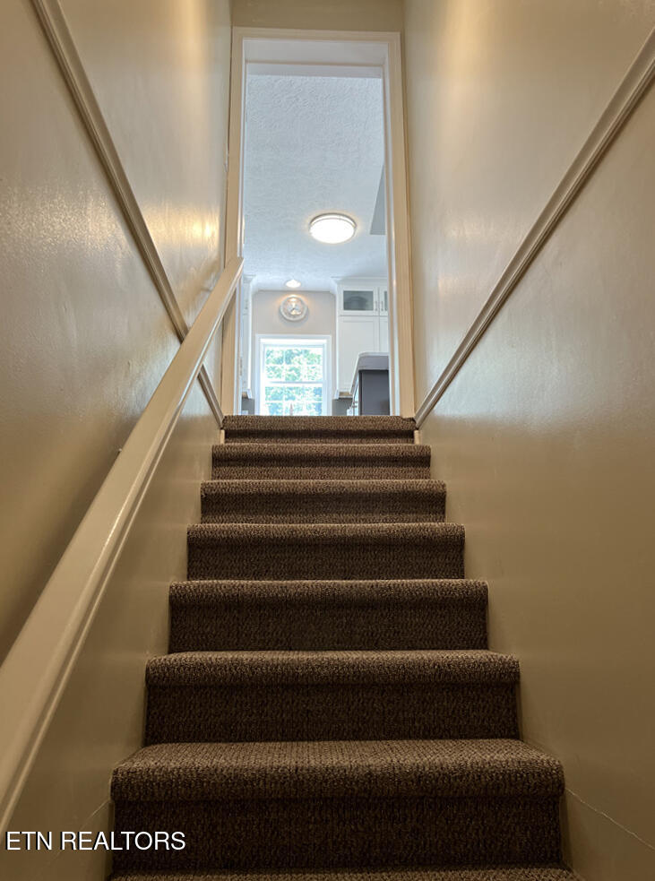 109 Reginas Point Sharps Chapel, TN 37866 - Photo 43 of 57 109 Reginas Pt, Sunset Bay, Norris Lake