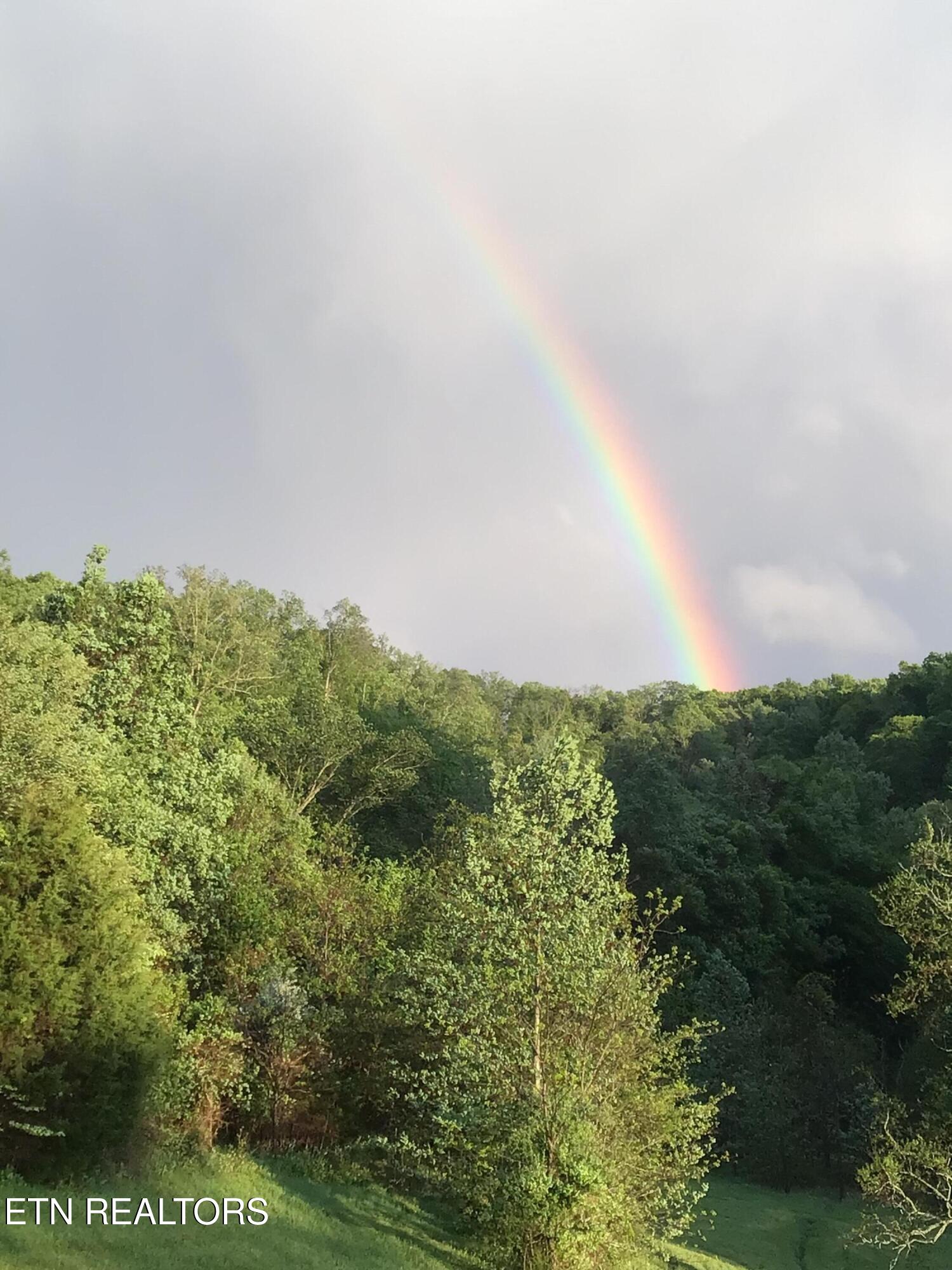 109 Reginas Point Sharps Chapel, TN 37866 - Photo 55 of 57 109 Reginas Pt, Sunset Bay, Norris Lake