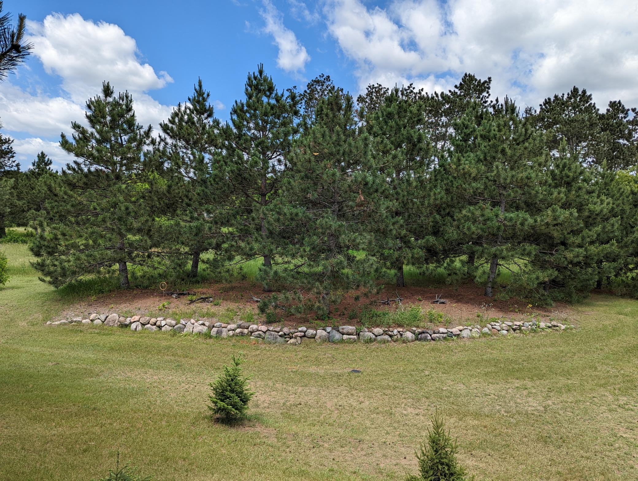 7275 190th Street West Jordan, MN 55352 - Photo 43 of 49