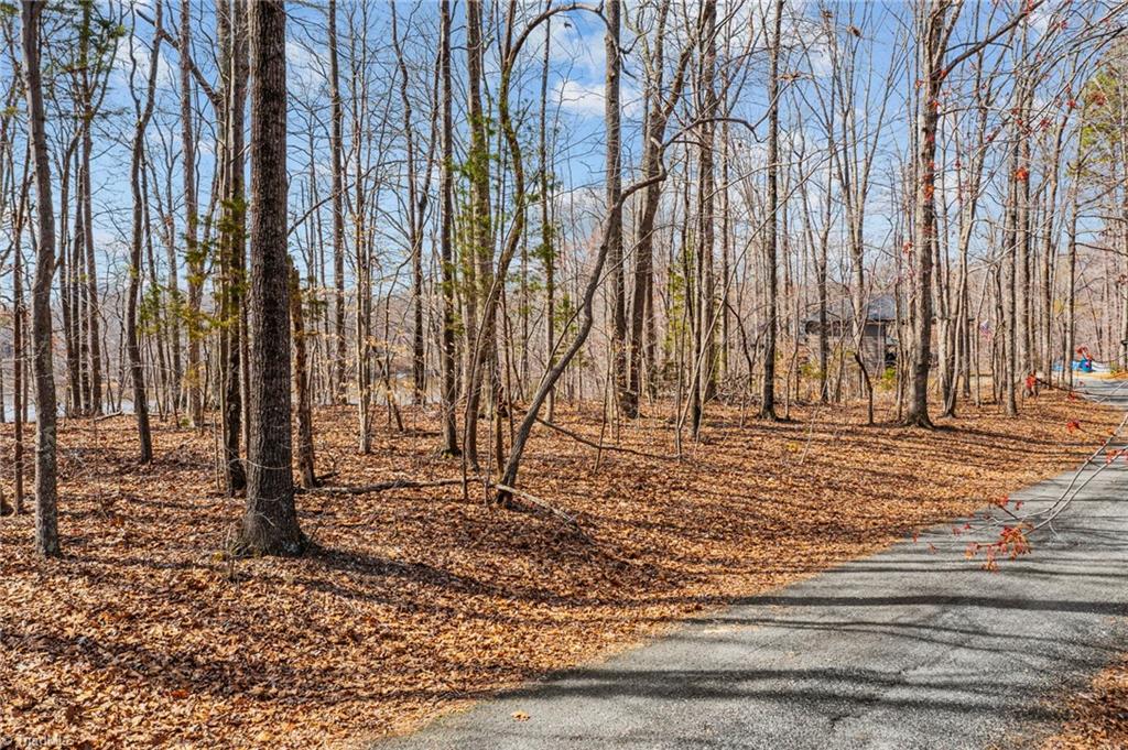 23 Fishermans Point Road Roxboro, NC 27574 - Photo 5 of 15