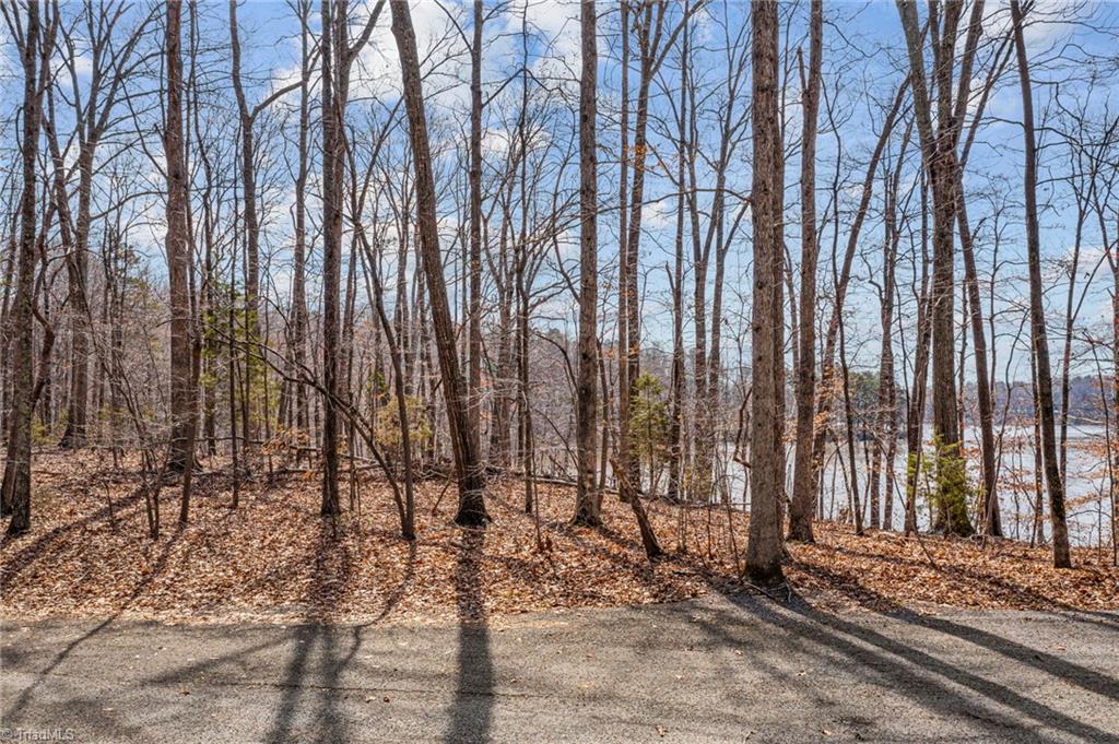23 Fishermans Point Road Roxboro, NC 27574 - Photo 6 of 15
