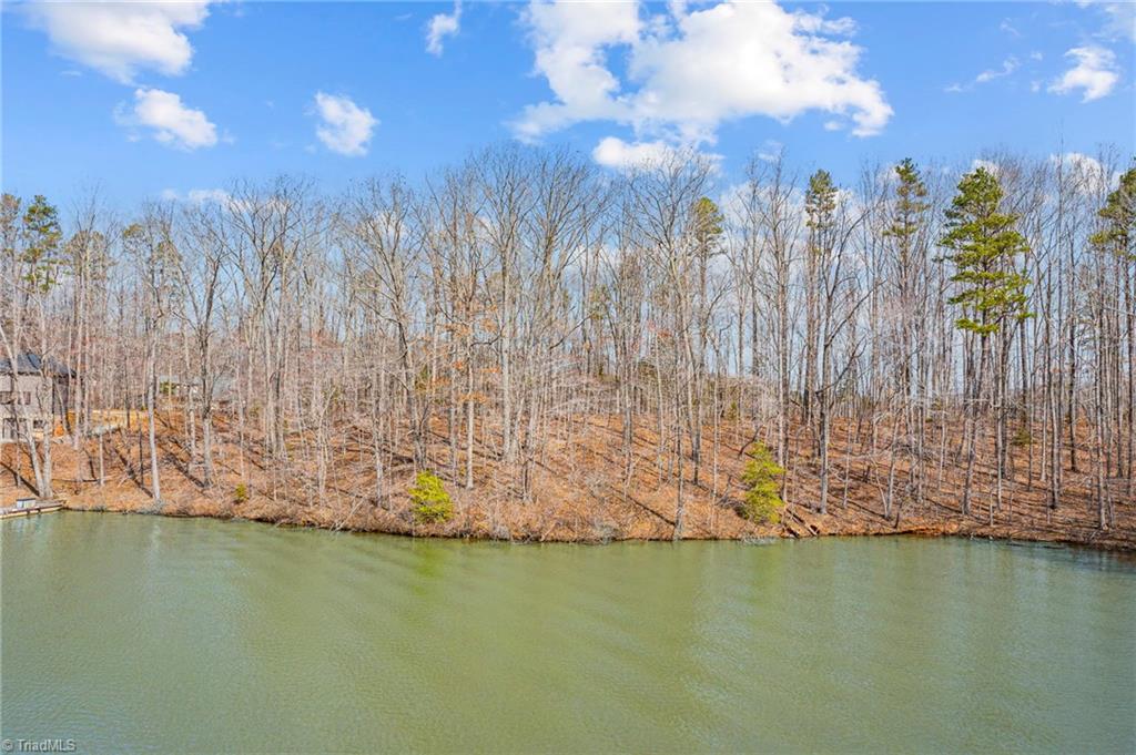 23 Fishermans Point Road Roxboro, NC 27574 - Photo 8 of 15