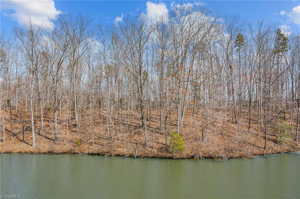 23 Fishermans Point Road Roxboro, NC 27574 - Photo 10 of 15