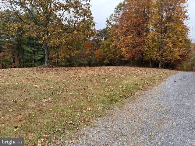 a big yard with large trees