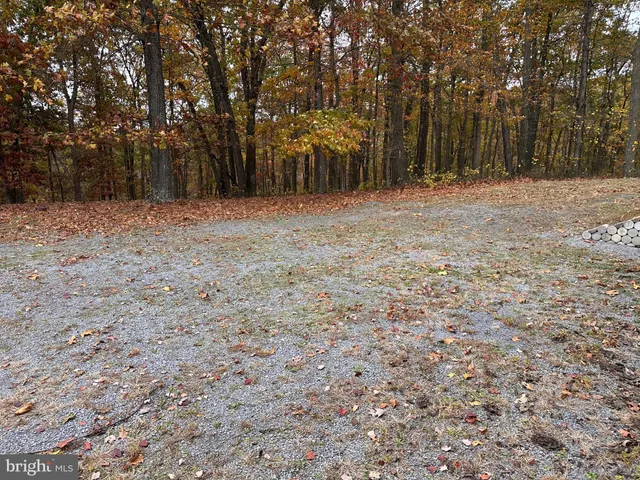 a view of outdoor space with trees