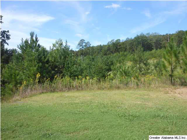 960 Narrows Point Drive Birmingham, AL 35242 - Photo 15 of 15