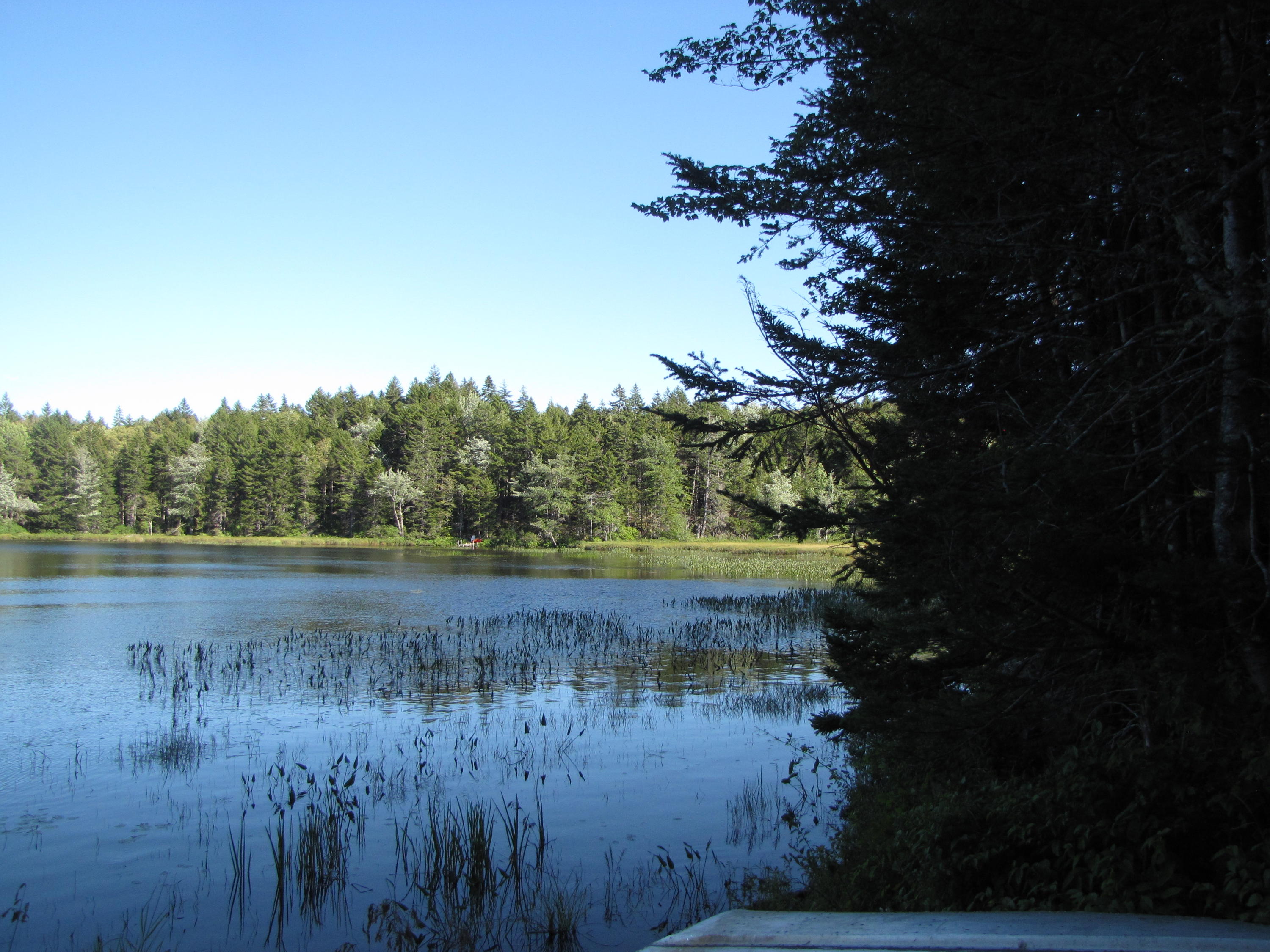 Lot 28 Halls Mills Road Whiting, ME 04691 - Photo 3 of 29 3