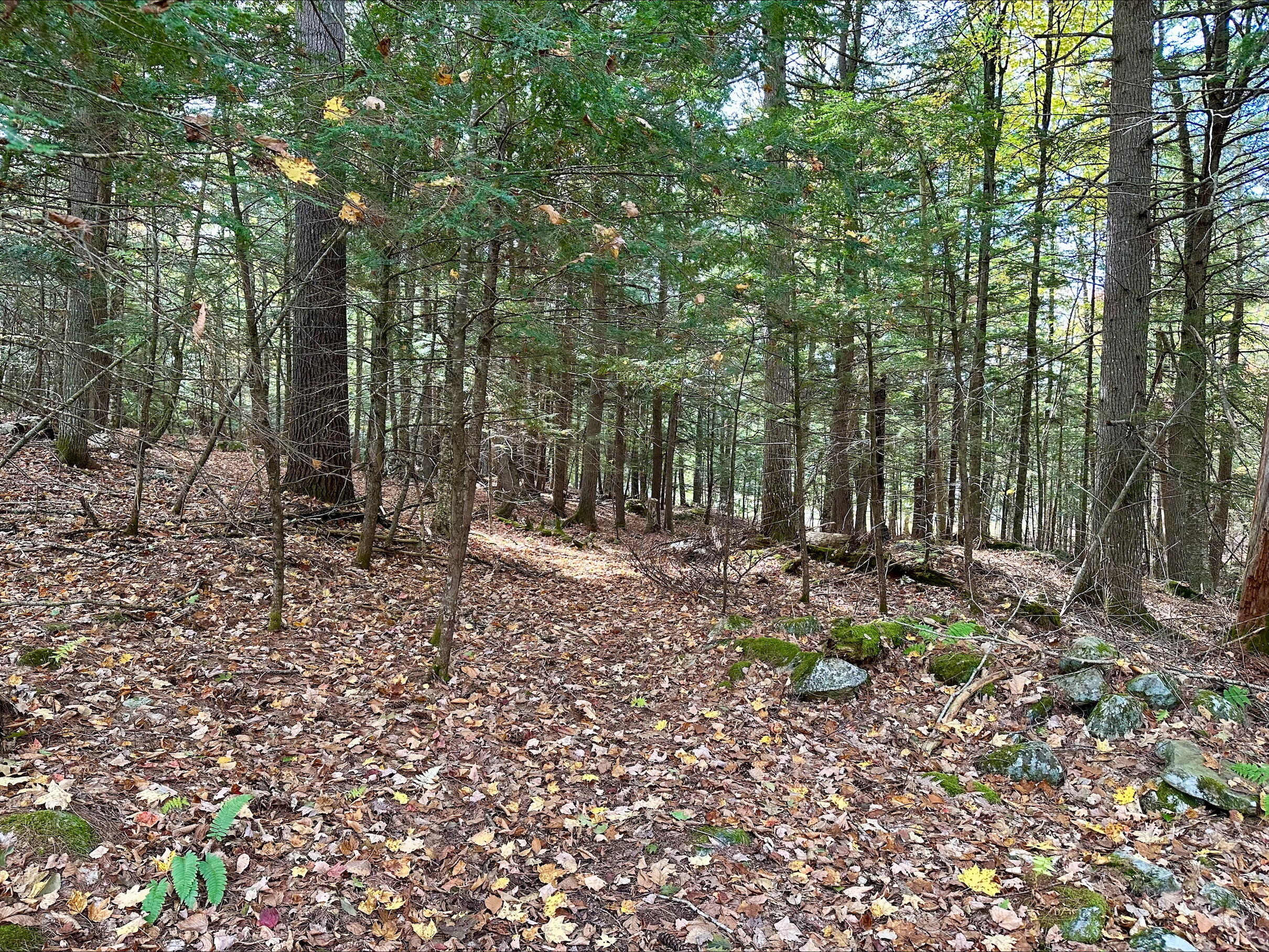 214 Desert Pond Road Mount Vernon, ME 04352 - Photo 71 of 75 processed-2F557E0F