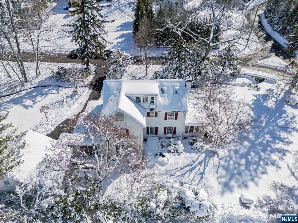 76 Forest Road Tenafly, NJ 07670 - Photo 26 of 32 a picture of trees