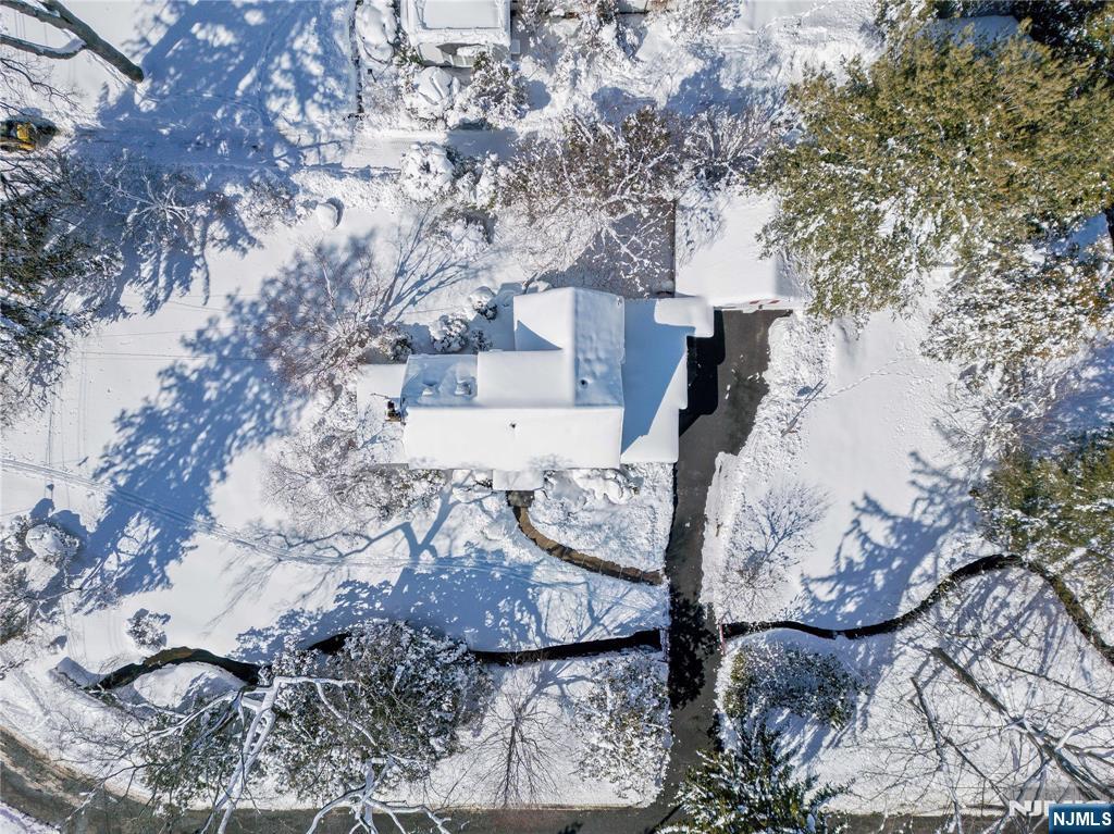 76 Forest Road Tenafly, NJ 07670 - Photo 29 of 32 aerial view of a house with large trees