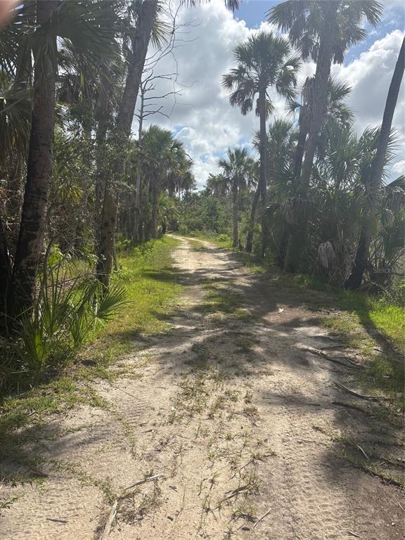 3217 Shine Lane Spring Hill, FL 34607 - Photo 11 of 19 a view of outdoor space with trees