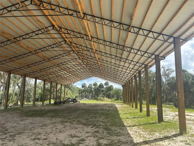 a view of a large trees with a big yard