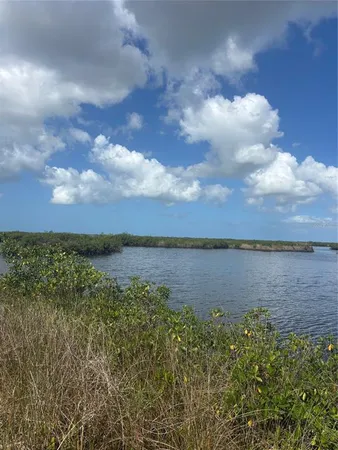 a view of a lake from a yard