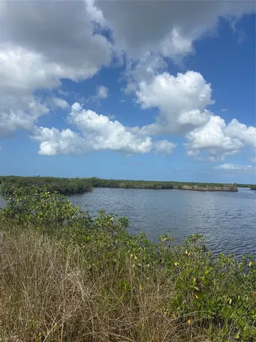 a view of a lake from a yard