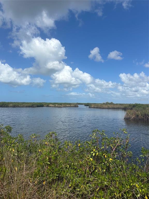 3217 Shine Lane Spring Hill, FL 34607 - Photo 19 of 19 a view of a lake from a yard