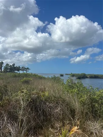a view of a lake from a yard