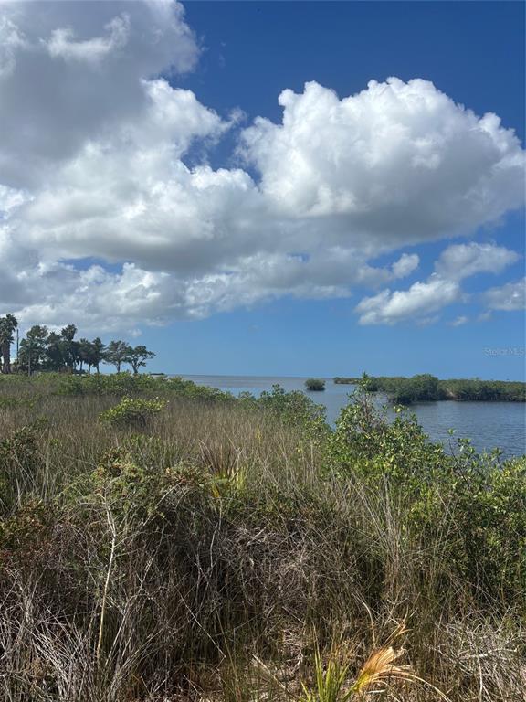 3217 Shine Lane Spring Hill, FL 34607 - Photo 2 of 19 a view of a lake from a yard