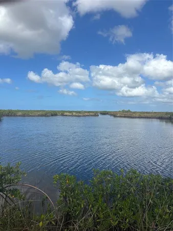 a view of a lake from a yard