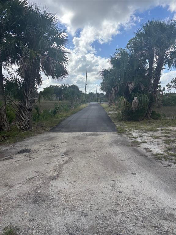3217 Shine Lane Spring Hill, FL 34607 - Photo 7 of 19 a view of dirt yard with a large tree