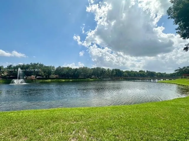 a view of a lake in middle of forest