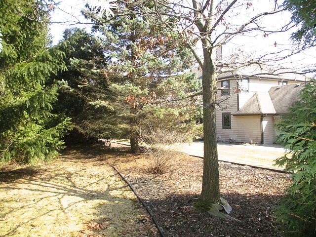 BACKYARD1