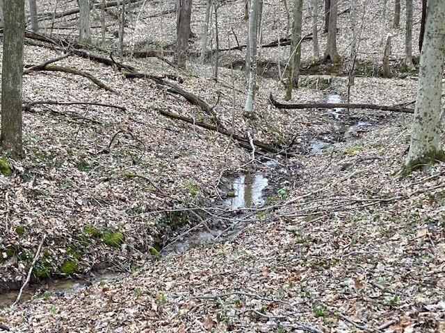 0 Mt Olive Road Rockbridge, OH 43149 - Photo 7 of 8 Mt Olive Stream in Forest