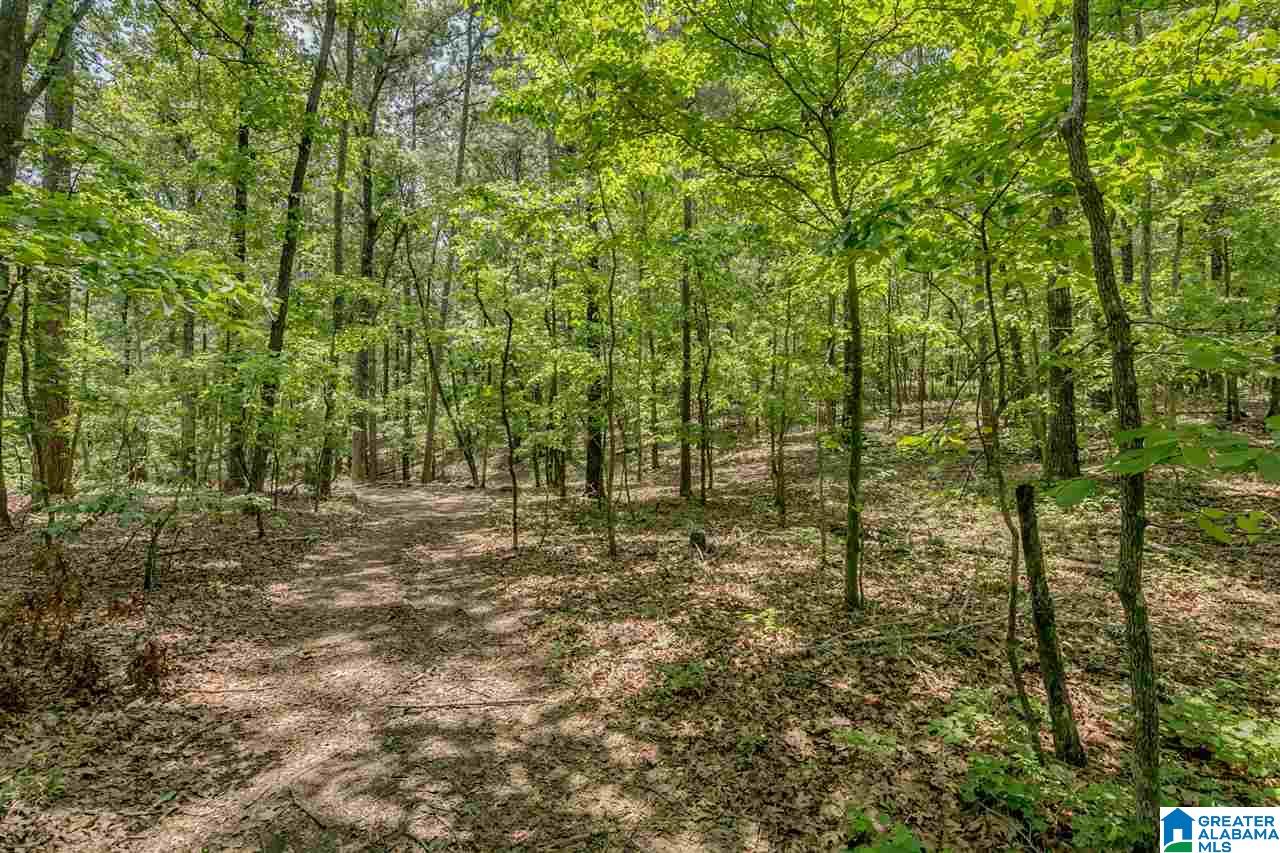 5 Augusta Way, Unit 154 Birmingham, AL 35242 - Photo 2 of 7